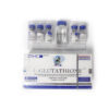 L-GLUTATIONE-3000MG-KIT-ZPHC-2.jpg ZPHC L-Glutathione - 3000 mg Kit (5×600 mg Vials + Diluent) kaufen