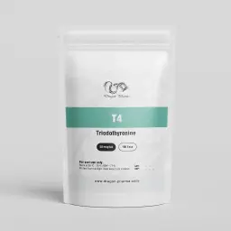 Dragon Pharma T4 kaufen