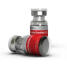 testabol-enanthate-250-mg-46821-s256.webp British Dragon Pharma TESTABOL ENANTHATE 250 MG kaufen