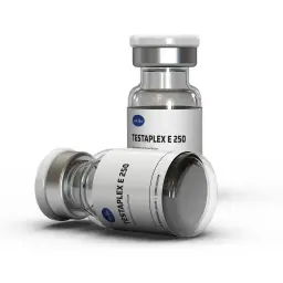 Axio Labs TESTAPLEX E 250 MG kaufen