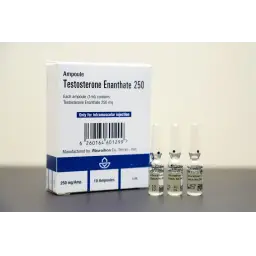 Dragon Pharma TESTOSTERONE ENANTHATE 250 MG kaufen